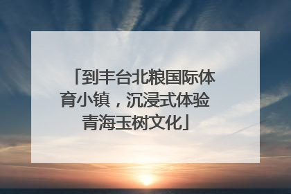 到丰台北粮国际体育小镇，沉浸式体验青海玉树文化